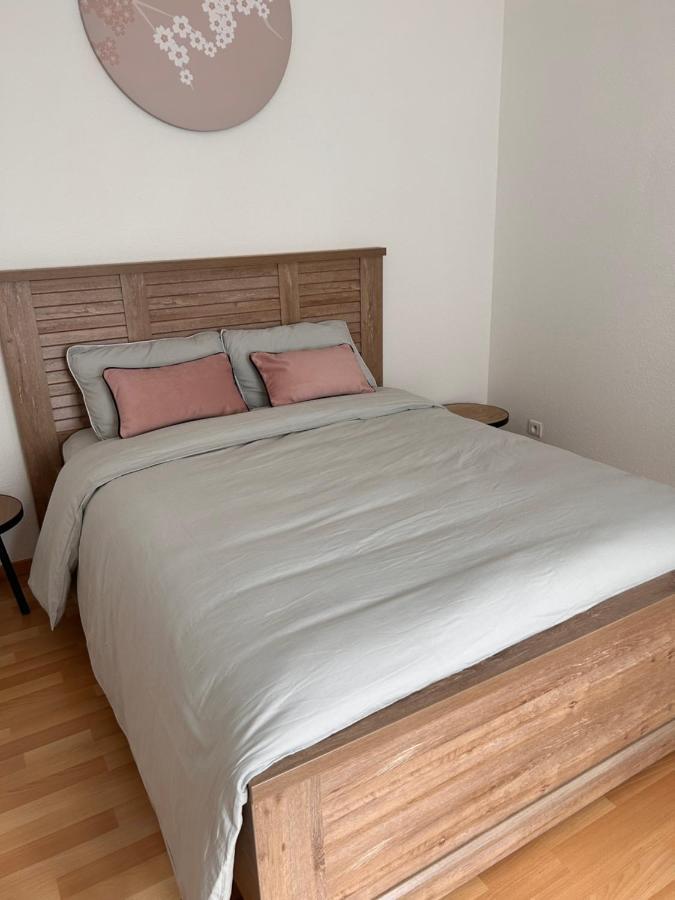 Appartement 1 Chambre Rue Faubourg De Besancon Montbeliard Exterior photo